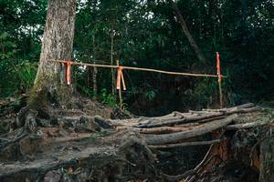 BIB: 
                            <button type="button" onclick="openModal(27319924)" class="btn btn-primary btn-sm float-right btn-popup" data-toggle="modal" data-target=".modal-high-quality">
                        <i class="fas fa-shopping-cart"></i> Add to Cart
                    </button>
                                            <button type="button" onclick="isThisMe(27319924, true)" class="btn btn-success btn-sm float-right btn-popup btn-isme hidden" data-toggle="tooltip" data-placement="bottom" title="นี่คือรูปของคุณใช่ไหม คลิกที่นี่เพื่อเอาเข้าอัลบั้ม">
                        <i class="fas fa-plus"></i> Add to album
                    </button>
                    <button type="button" onclick="isThisMe(27319924, false)" class="btn btn-warning btn-sm float-right btn-popup btn-isnotme hidden">
                        <i class="fas fa-ban"></i> Remove from album
                    </button>